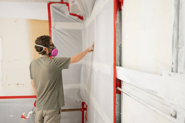 Reliable Eaton, CO Mold Removal Solutions